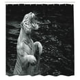 thumbnail image 2 of Ambesonne Black White Shower Curtain, Exotic White Tiger, 69"Wx84"L, Charcoal Grey Pale Grey, 2 of 4
