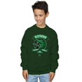 thumbnail image 2 of Harry Potter Boys Slytherin Toon Crest Sweatshirt, 2 of 3