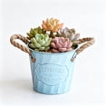 thumbnail image 5 of AYktou Vintage Galvanized Flower Buckets, Metal Planter Tubs Flower Pots with Rope Handles, Farmhouses Hanging Bucket Rustproof Flowerpot for Indoor Outdoor Garden Patio Party Wedding Home Decor, 5 of 6