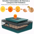 thumbnail image 3 of Incubadora De 25 Huevos Giro Automatico Con Ovoscopio Lcd, 3 of 3
