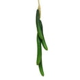 thumbnail image 2 of Flmtop Artificial Fruit Foam Vegetable Corn Pepper Garlic Hanging Photo Prop Home Decor, 2 of 7