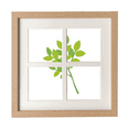 thumbnail image 1 of Faible Grenn Branches Vert Cadre Mur Table Affichage 4 Ouvertures Image, 1 of 3