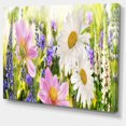 thumbnail image 2 of Champ de Fleurs Sauvages au Coucher du Soleil, 2 of 3