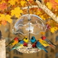 thumbnail image 2 of Bird Feeder Scattering And Spilling For Feeding Parrots And With Hanging Bird Feed Box Automatic Feeder, 2 of 4