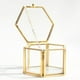 thumbnail image 1 of Maceta de Ventana de de Terrario Geométrico de Metal de Hexagonal - Dorado x 6.8 x 4.5 cm BLESIY Terrario geométrico moderno, 1 of 8