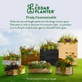 thumbnail image 2 of Greenes Fence 32 in. x 11 in. x 10 in. Cedar Wood Planter Box, 2 of 7
