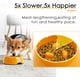 thumbnail image 3 of Comedero lento naranja para perros y gatos, cuenco antideslizante que fomenta una alimentación más pausada, cuenco interactivo de melamina para reducir la hinchazón., 3 of 5