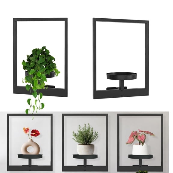Picture Frame Wall Plant Holders,QZS Black Flower Hanger Indoor and Outdoor,2 Pack Wall-Mounted Metal Hanging Planters Decor Rack