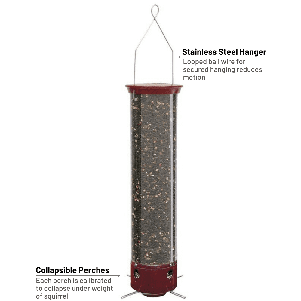 Droll Yankees Yankee Dipper Squirrel-Proof Tube Bird Feeder - Burgundy - 5 lb. capacity