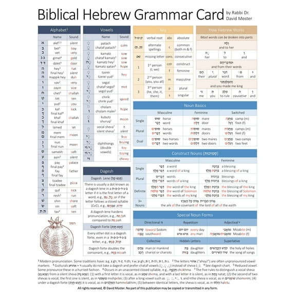 Biblical Hebrew Grammar Card (Other)
