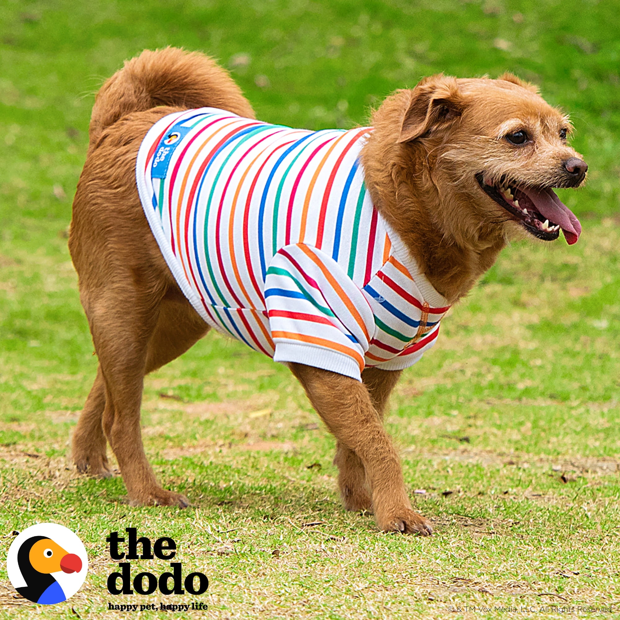 The Dodo Striped Crewneck Sweatshirt for Dogs - Small