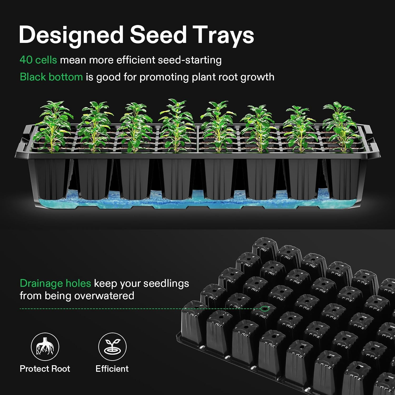 VIVOSUN 1-Pack 40-Cell Seed Starter Trays with 1 Set of LED Lights and 10"x20.75" Seedling Heat Mat, 3.6" Higher Cover, Adjustable Vents, Drainage Holes, Green Propagation Tray for Planting Seeds