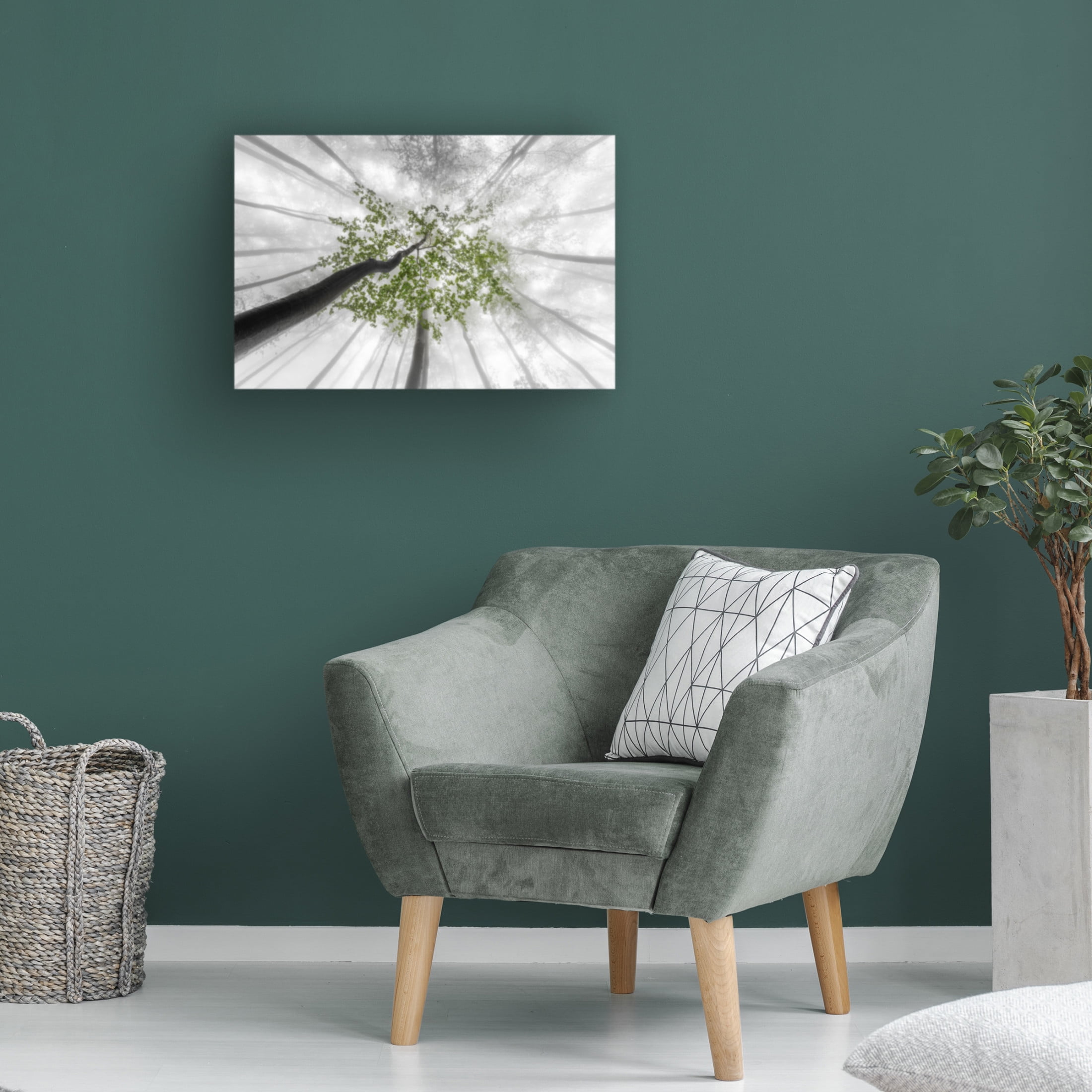 Trademark Fine Art Tom Pavlasek Green Leaves Canvas Wall Art