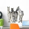thumbnail image 1 of Three Appaloosa H)orses Wall Decal Sticker by Wallmonkeys Vinyl Peel and Stick Graphic (18 in W x 18 in H), 1 of 4