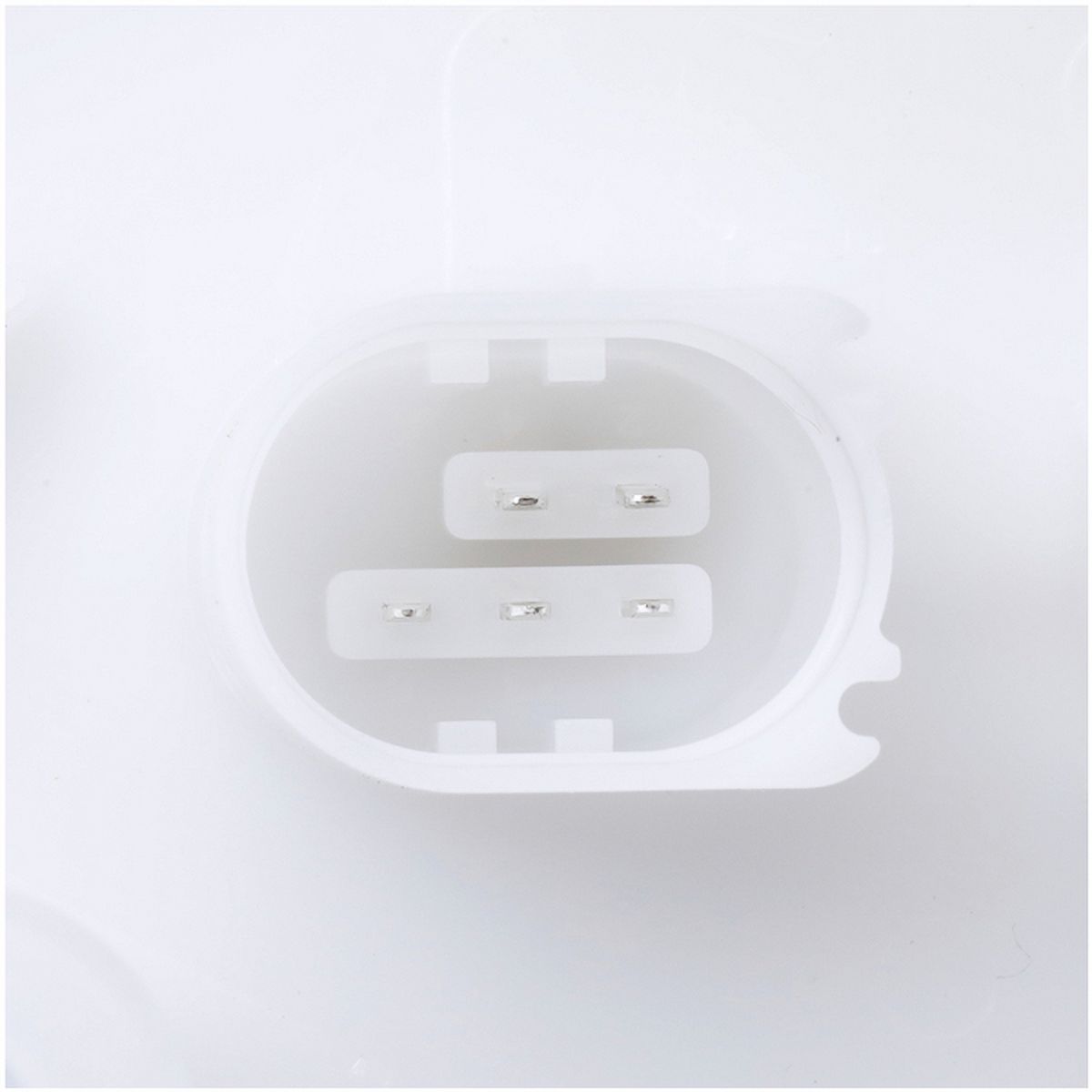 Fuel Pump Module Assembly