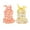 Fruit, variant on 2PCS Dog Dresses Set, Dog Summer Beach Skirts, Braces Skirt Apparel Swimsuit Outfit for Cat Small Medium Dog Flower XS