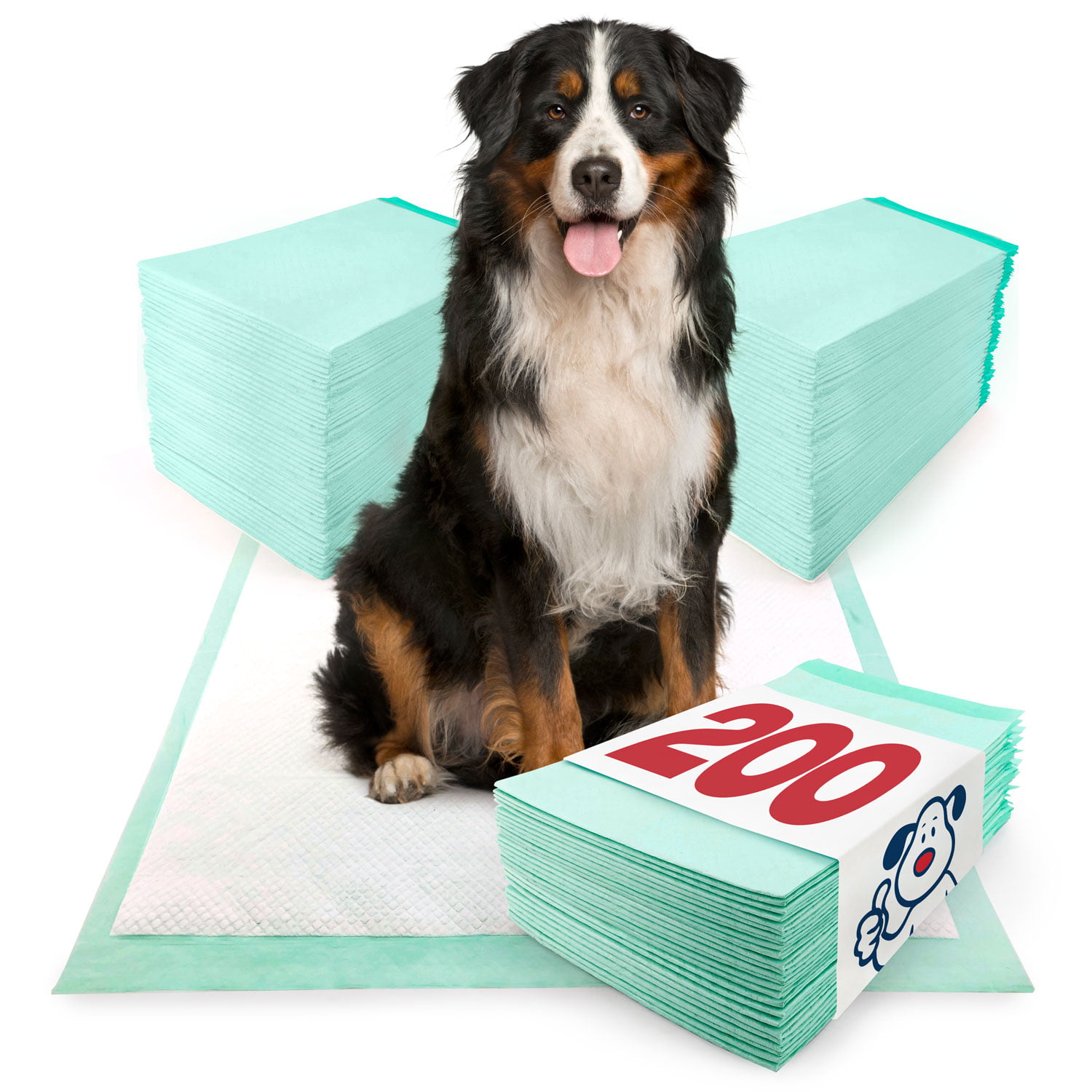 600-17x24" Economy Grade Puppy Piddle House Breaking Pee Pads 