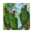 thumbnail image 1 of Amazon Parrot Rainbow - Canvas, 1 of 10