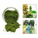 thumbnail image 2 of Adornos de césped artificial con restos: materiales de bricolaje para micropaisajes de jardines de hadas Verde, 2 of 9