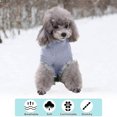 thumbnail image 5 of Suéter para perros pequeños, suéter para clima frío, ropa clásica de cuello alto, gruesa y cálida., 5 of 5