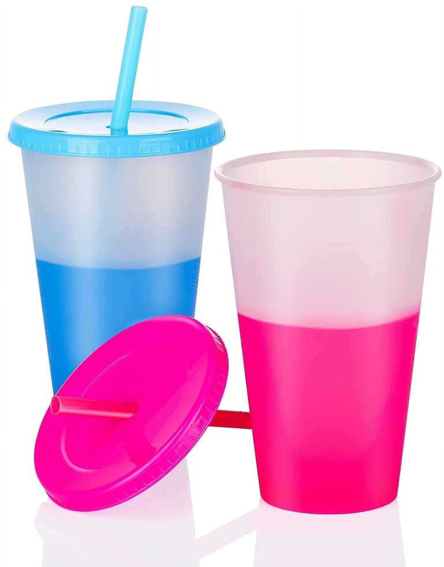 Reusable Plastic Cup 5 Pcs Drinkware Tumblers Coloured Acrylic Cups  Reusable Tumblers with Lids and Straws Plastic Bulk Iced Plastic Cold Water  Tumblers Iced Coffee Cups Travel Mug Party Tumbler 710ML (Colorful)