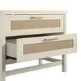 thumbnail image 2 of Ameriwood Home Lennon 2 Drawer Nightstand, Ivory Oak and Faux Rattan, 2 of 9