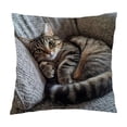 thumbnail image 3 of Throw Pillow Cover 18x18 Inch Cute Embroidery Pattern Short Lint Soft Breathable Decorative Pillowcase for Sofa Living Room Home by MPOISVA, 3 of 7