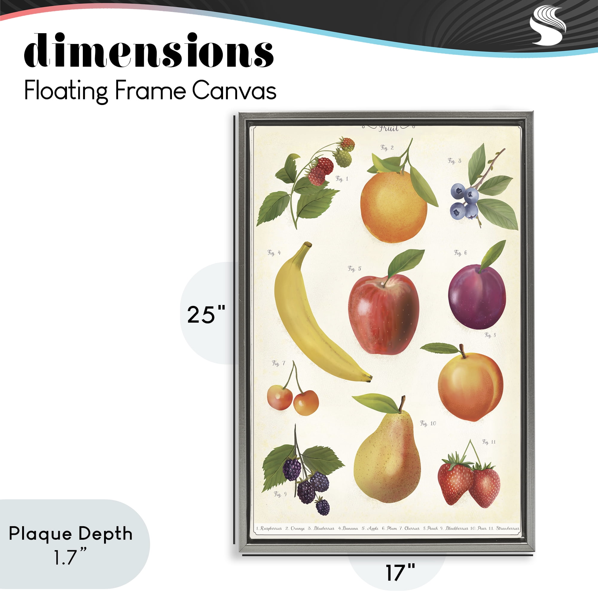 Stupell Industries Fruit Collection Studies Gray Framed Floater Canvas Wall Art, design by Diane Neukirch