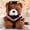 Dark brown and pink, variant on LEJHVAQK Graduation Teddy Bear: Stuffed Toys with Doctoral Cap & Gown for Class of 2026, Cute Plushie Doll Keepsake Gift for Graduates, Multiple Styles, 1 Pack