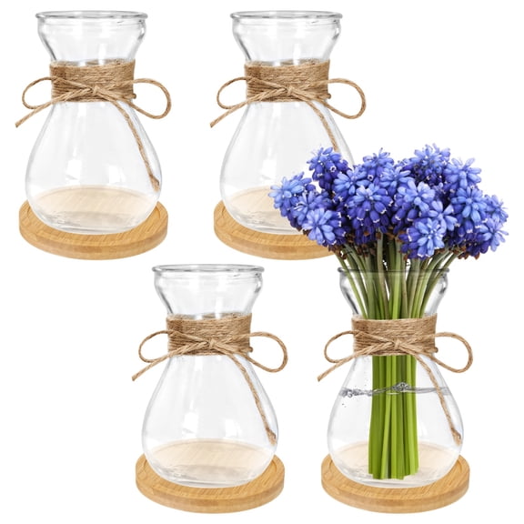 4 Pcs Glass Bulb Vases, Clear Forcing Hydroponic Planters for Hyacinths, Slim Waist Design, Bohemian Style Home Decor with Rope, Wooden Coasters