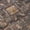 Charcoal, variant on Addison Rugs Mayfield Premium Machine Washable Traditional Medallion Fudge Rectangle Rug, 10' x 14'