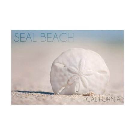 Seal Beach, California - Sand Dollar and Beach Print Wall Art By Lantern