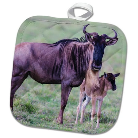 3dRose Africa. Tanzania. Wildebeest and baby in Serengeti National park. - Pot Holder, 8 by