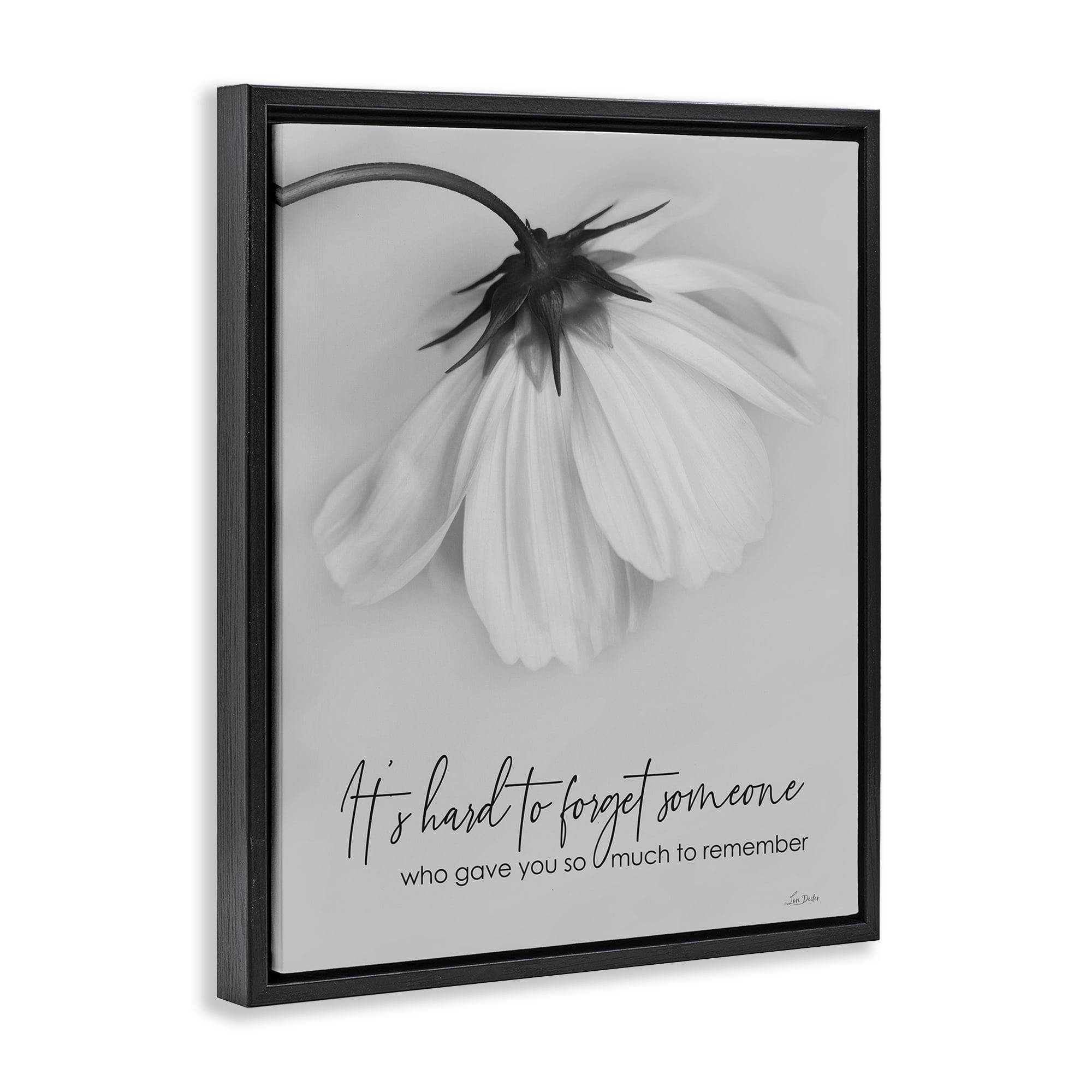Stupell Industries So Much To Remember Botanical & Floral Painting Black Floater Framed Art Print Wall Art, 17 x 21