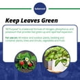 thumbnail image 4 of Jack's Classic 20-20-20 All Purpose Fertilizer w/ Micronutrients, 1.5 Pounds, 4 of 6