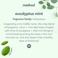 thumbnail image 3 of Método limpiador de baño que elimina el moho y los hongos, 800 ml, paquete de 4, 3 of 7