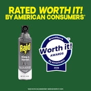 Raid Outdoor Wasp & Hornet Insecticide Value Pack, 14 oz., 2 Count