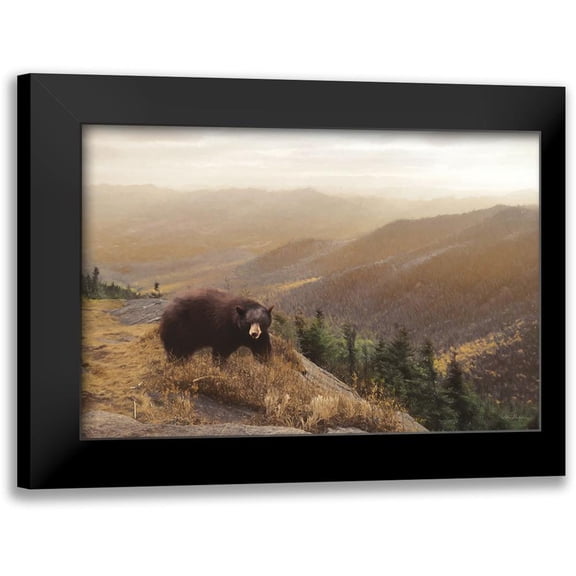 Deiter, Lori 14x11 Black Modern Framed Museum Art Print Titled - Bear Country