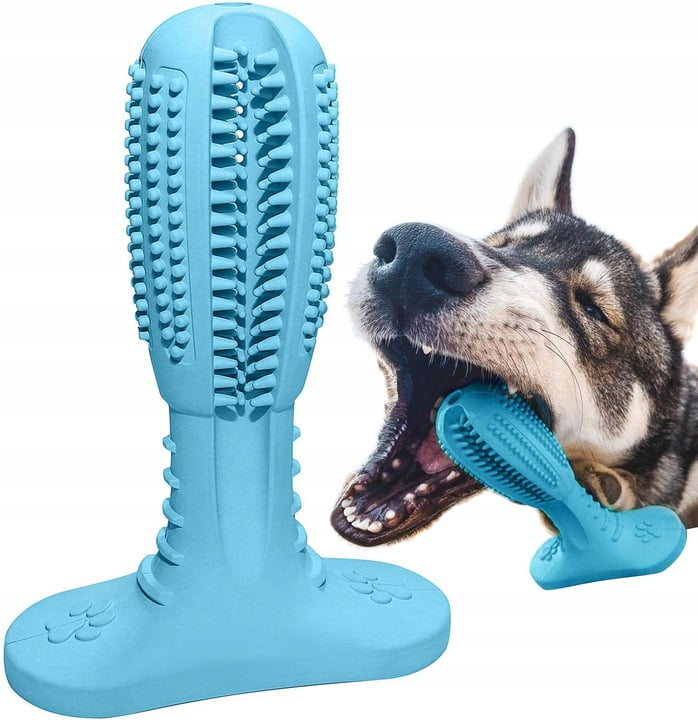best dog toothbrush