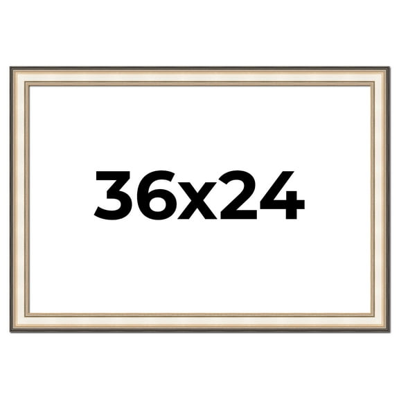 36x24 Frame Gold Silver Plein Aire 2" Inch Wide Moulding Solid Wood Picture Frame | Modena