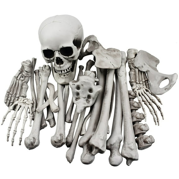 28 Pieces Skeleton Bones and Skull for Halloween Decor or Spooky Graveyard Ground Decoration