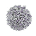thumbnail image 3 of Licorice Gourmet Salt Water Taffy 2 Pound, 3 of 4