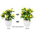 huntermoon Mini Potted Plant Simulation Lemon Pots Artificial Kumquat