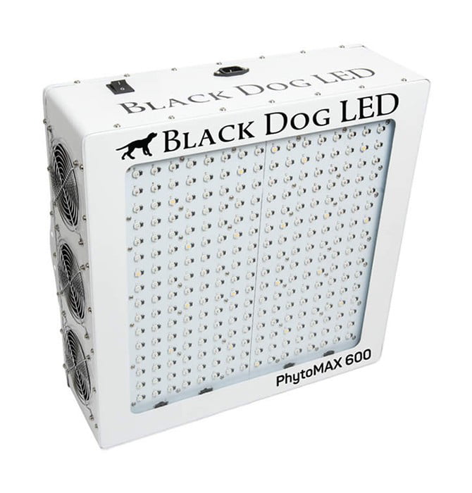 Dog LED PM600 -