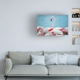 thumbnail image 3 of Ben Heine 'Flamboyant Of Flamingos 4' Canvas Art, 3 of 3