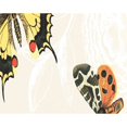 thumbnail image 2 of Simply Daisy 18" x 30" Antique Butterflies and Flowers Animal Print Kitchen Towel, 2 of 2