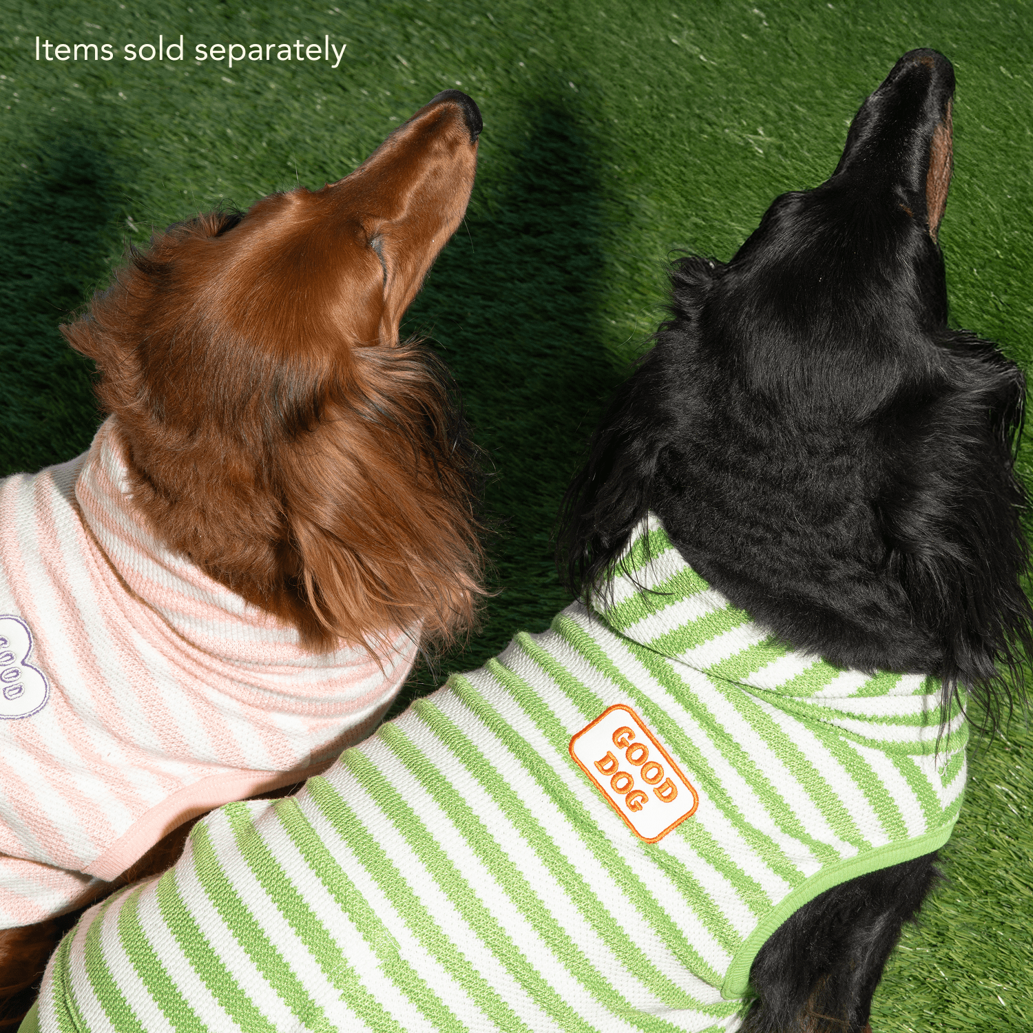 Oodles Good Dog Bubble Hem Hoodie, Green, Large