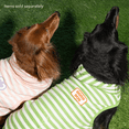 thumbnail image 4 of Oodles Good Dog Bubble Hem Hoodie, Green, Large, 4 of 12