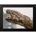 thumbnail image 2 of Kim, Eunice 14x11 Black Modern Framed Museum Art Print Titled - Hide And Seek, 2 of 5