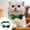 Green, variant on Pet Products Irish Festival Bow With Bells Cats Collar